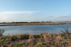 Des marais salants font leur apparition sur la côte