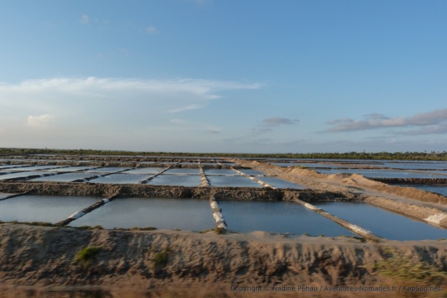 Marais salants
