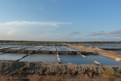 Marais salants