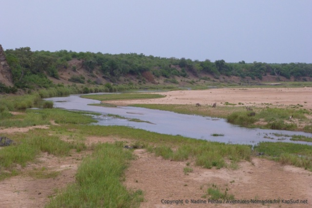 La rivière Letaba au parc Kruger