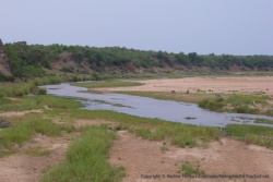 La rivière Letaba au parc Kruger