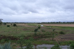 La plaine entourant la rivière et un théatre idéal pour la faune des environs