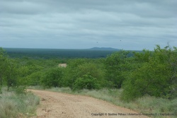 Les animaux ne sont pas la seule richesse du Kruger, on y trouve des panoramas sauvages et magnifiques