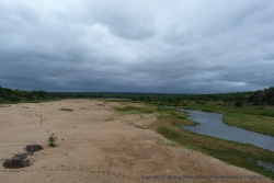 Le ciel plombé annonce des pluies prochaines, bientôt la rivière grossira et sortira de son lit