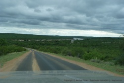Le parc Kruger est très étendu et malgré sa fréquentation on n'est la plupart du temps tout seul