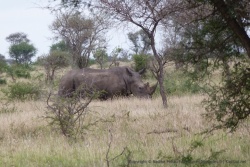 afrique-sud_2012_1123-093910