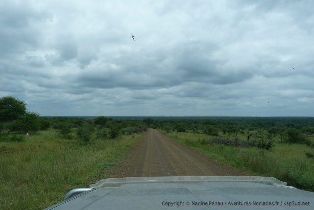 afrique-sud_2012_1123-125304