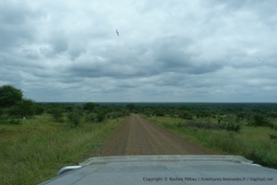 afrique-sud_2012_1123-125304