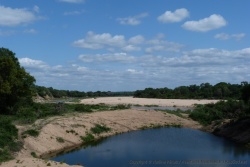 Heureusement pour les animaux, de l'eau subsiste dans quelques bassins naturels