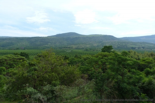 Le Mpumalanga est très fertile et entièrement consacré à l'agriculture