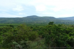 Le Mpumalanga est très fertile et entièrement consacré à l'agriculture