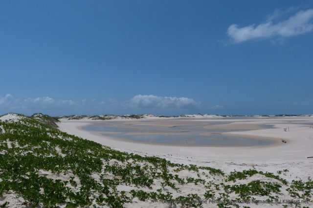 Une sorte de lagune est séparée par un petit cordon de dunettes