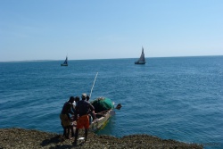 Des pêcheurs accostent pour vendre le fruit de leur labeur