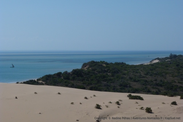 Le sable se mêlant à la végétation offre de nouvelles perspectives