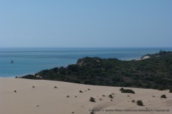 Le sable se mêlant à la végétation offre de nouvelles perspectives