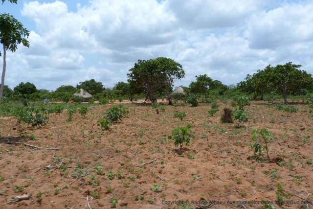 On est plongés au coeur de la campagne mozambicaine qui est ici très belle