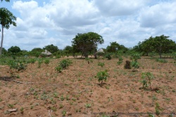 On est plongés au coeur de la campagne mozambicaine qui est ici très belle