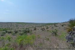 De grandes plaines de savane ornementées d'arbustes font également partie des paysages de Pomene
