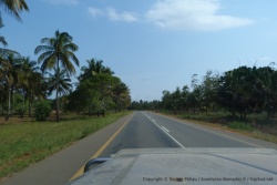 La nationale EN1, axe vital du Mozambique que nous avons souvent emprunté