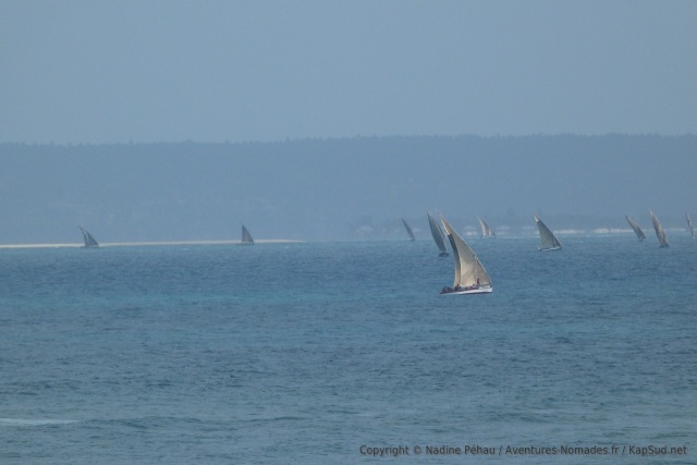 Le ballet incessant des boutres dans la baie d'Inhambane