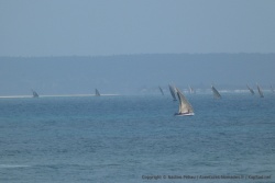 Le ballet incessant des boutres dans la baie d'Inhambane