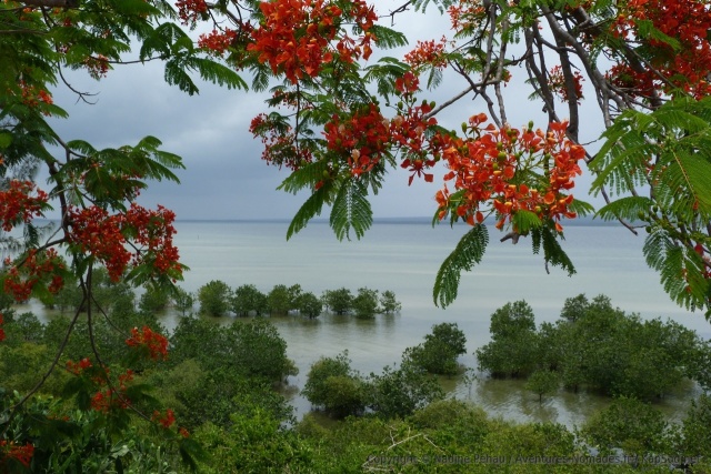 Carte postale d'Inhambane