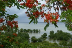 Carte postale d'Inhambane