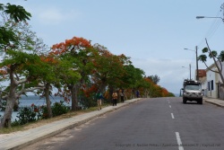 Totoy dans la très colorée route côtière d'Inhambane