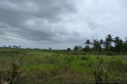 mozambique_2012_1120-123505