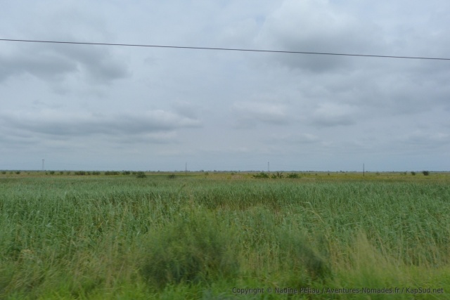 Les plaines alluviales du Limpopo propices à l'agriculture intensive