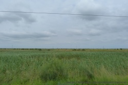 Les plaines alluviales du Limpopo propices à l'agriculture intensive