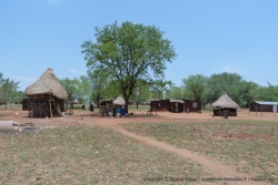 Le parc de Limpopo n'est pas réservé aux animaux et plusieurs villages y sont installés