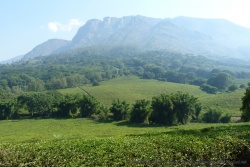 Cette vision magnifique justifie à elle seule le déplacement jusqu'à Gurué