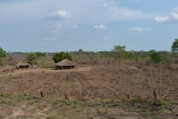 Les habitants déforestent pour s'installer ou s'installent-ils pour déforester ?