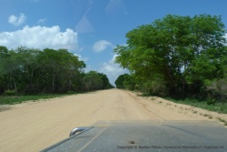 Nous quittons de nouveau la route pour s'enfoncer dans la forêt