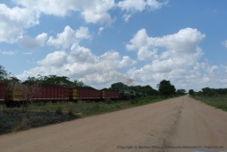 Un train tirant de nombreux wagons remplis de charbon