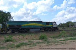 Le conducteur de la locomotive nous salue d'un coup de klaxon retentissant