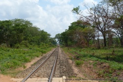 Pas de passage à niveau quand on traverse, il faut s'assurer par soi-même qu'aucun train n'arrive