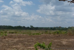 Tous les environs du village sont consacrés à l'agriculture avec d'immenses champs cultivés à la main