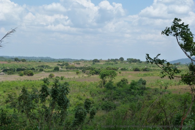 Près de la rivière un gros village noyé dans la brousse