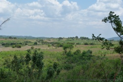 Près de la rivière un gros village noyé dans la brousse