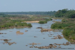 Rivière Pungoé, à la sortie du parc de Gorongosa