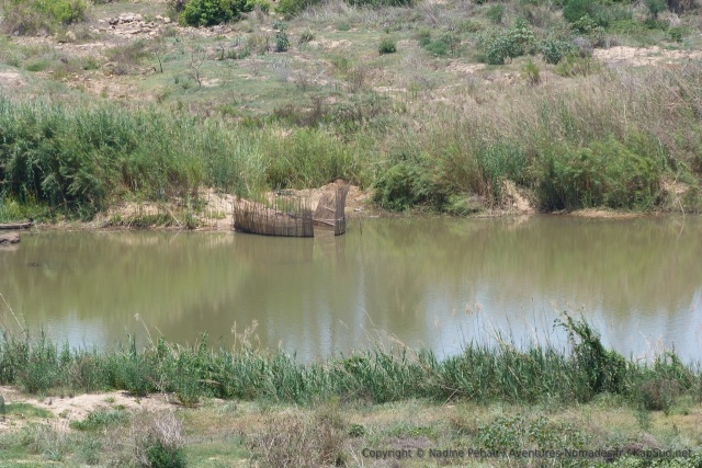 Du pont, on peut apercevoir les pièges à poisson installés dans la rivière