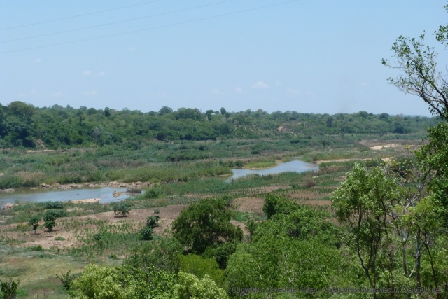 Tous les abords de la rivière Pungoé sont des champs cultivés