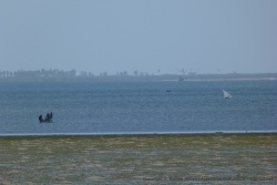 Scènes de pêche habituelle dans le Nord du Mozambique