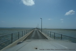 Le fameux pont qui nous relie à Ilha de Mocambique, déroule sa voie unique sur plus de 3,5 km