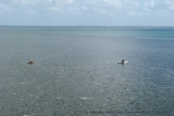Nos 2 pêcheurs de tout à l'heure, sont maintenant au travail avec leur embarcation