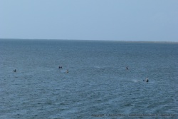 Partout autour de nous, des scènes de pêche se déroulent sous nos yeux ébahis