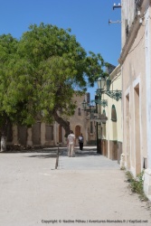 Dans les ruelles écrasées de chaleur, nous sommes à la recherche de la moindre parcelle d'ombre