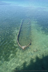 Une carcasse de bateau est le parfait abri pour la multitude de petits poissons